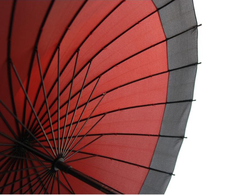 Speciale gruppo Spazi di Viaggio 15 - 28 giugno 2026